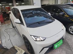 BYD Seagull 2025 405km Flying Edition - ფოტო 3