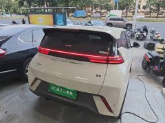 BYD Seagull 2025 405km Flying Edition - ფოტო 6
