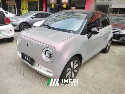 2021 ORA Black Cat 351km Standard - ავტომობილი ჩინეთიდან