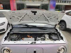 ORA Black Cat 351km Standard - ფოტო 19