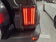 Tank 300 2023 Off-Road Edition 2.0T Challenger - ფოტო 7