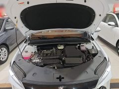 BYD Qin PLUS 2025 DM-i Smart Drive 128KM Entry-Level - ფოტო 19