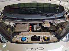 BYD Seagull Flying Edition - ფოტო 19