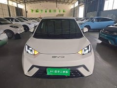 BYD Seagull Flying Edition - ფოტო 2