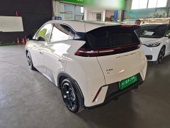 BYD Seagull Flying Edition - ფოტო 4
