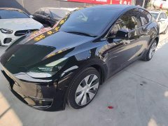 Tesla Model Y Long Range All-Wheel Drive - ფოტო 1