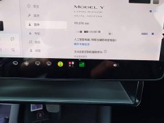 Tesla Model Y Long Range All-Wheel Drive - ფოტო 11