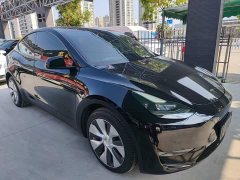 Tesla Model Y Long Range All-Wheel Drive - ფოტო 3