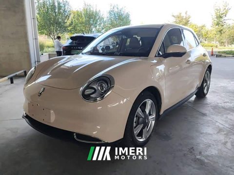 2022 ORA Good Cat Morandi Edition 400km Standard Range Deluxe Type LFP Battery - ავტომობილი ჩინეთიდან