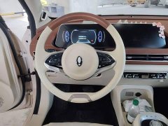 ORA Good Cat Morandi Edition 400km Standard Range Deluxe Type LFP Battery - ფოტო 10