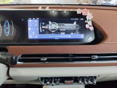 ORA Good Cat Morandi Edition 400km Standard Range Deluxe Type LFP Battery - ფოტო 12