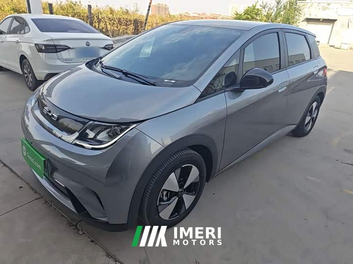 BYD Dolphin 2023 420km Fashion Edition - ავტომობილი ჩინეთიდან