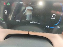 BYD Seagull Smart Drive 305km Vitality Edition - ფოტო 11