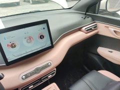 BYD Seagull Smart Drive 305km Vitality Edition - ფოტო 12