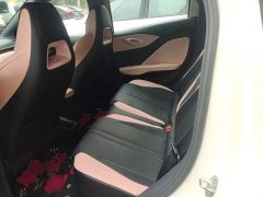 BYD Seagull Smart Drive 305km Vitality Edition - ფოტო 16