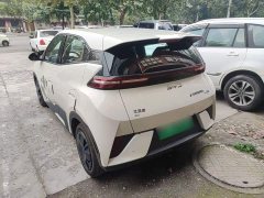 BYD Seagull Smart Drive 305km Vitality Edition - ფოტო 4