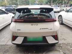 BYD Seagull Smart Drive 305km Vitality Edition - ფოტო 5