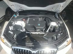 BMW 5 Series 530Li Premier Luxury Package - ფოტო 19