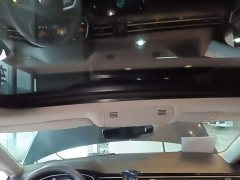 Volkswagen Magotan 2 Million Units Commemorative Edition 330TSI DSG Leading Version - ფოტო 17