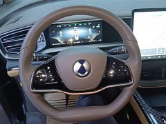 Denza D9 2022 DM-i 970 AWD Flagship - ფოტო 10