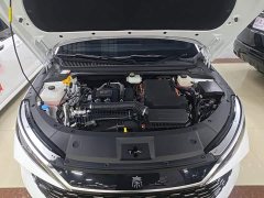 BYD Qin L 2024 DM-i 80KM Excellence Edition - ფოტო 19