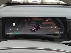 Leapmotor B10 510 Pleasure Edition - ფოტო 11