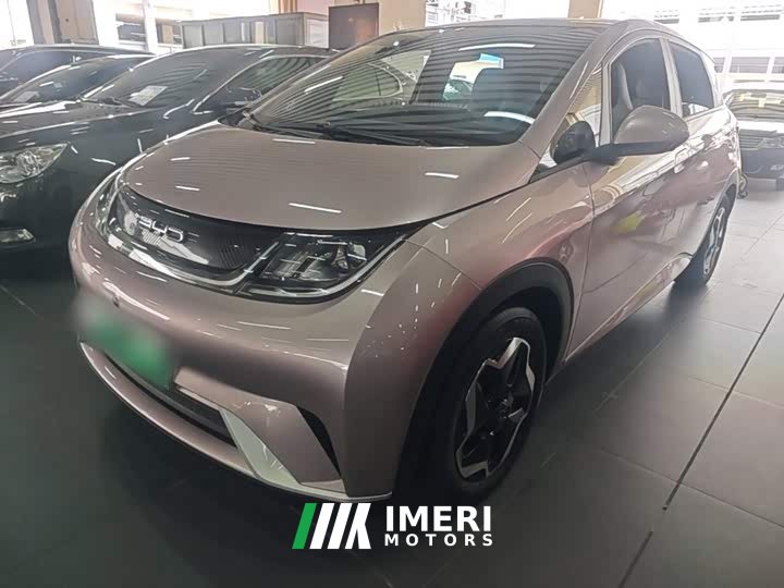 BYD Dolphin 405km Fashion Edition - ავტომობილი ჩინეთიდან