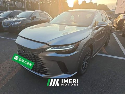 2024 Lexus RX 2025 300 AWD Premium Edition - ავტომობილი ჩინეთიდან