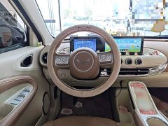 Wuling Binguo 333km Joy Edition - ფოტო 10