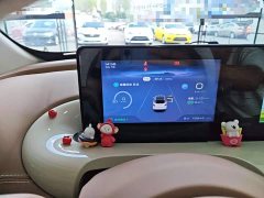 Wuling Binguo 333km Joy Edition - ფოტო 11