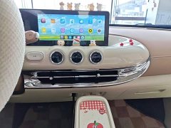 Wuling Binguo 333km Joy Edition - ფოტო 12