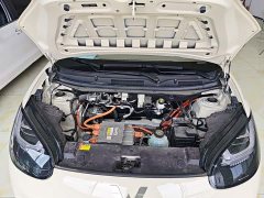 Wuling Binguo 333km Joy Edition - ფოტო 19