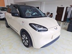 Wuling Binguo 333km Joy Edition - ფოტო 3