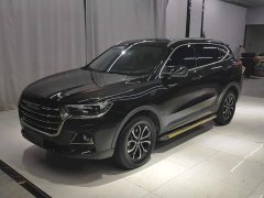 Haval H6 2021 National Trend Edition 1.5T Automatic Urban Version - ფოტო 1