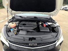 Geely Emgrand L 1.4T CVT Premium - ფოტო 19