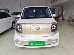FAW Besturn Xiaoma 222km Dynamic Edition - ფოტო 2
