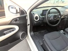 Wuling Binguo 203km Light Enjoy Edition - ფოტო 15