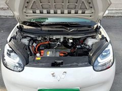 Wuling Binguo 203km Light Enjoy Edition - ფოტო 19