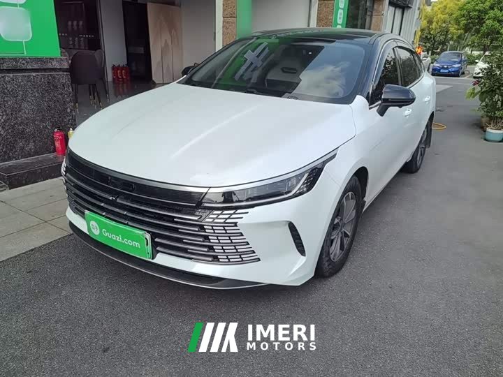 BYD Destroyer 05 Glory Edition DM-i 55KM Luxury