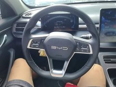 BYD Destroyer 05 Glory Edition DM-i 55KM Luxury - ფოტო 10