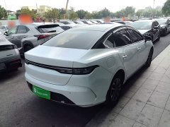 BYD Destroyer 05 Glory Edition DM-i 55KM Luxury - ფოტო 6