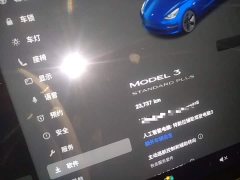 Tesla Model 3 Facelift Standard Range RWD Upgrade 3D1 - ფოტო 11
