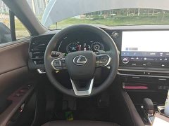 Lexus RX 350h 4WD Alcohol Enjoyment Edition - ფოტო 10