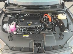 Lexus RX 350h 4WD Alcohol Enjoyment Edition - ფოტო 19