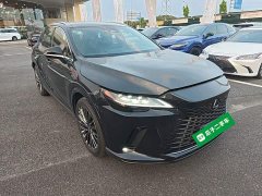 Lexus RX 350h 4WD Alcohol Enjoyment Edition - ფოტო 3