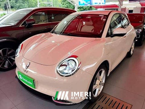 2022 ORA Good Cat Morandi Edition 400km Standard Range Luxury Trim LFP - ავტომობილი ჩინეთიდან
