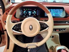 ORA Good Cat Morandi Edition 400km Standard Range Luxury Trim LFP - ფოტო 10