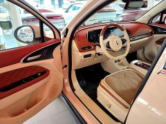 ORA Good Cat Morandi Edition 400km Standard Range Luxury Trim LFP - ფოტო 15