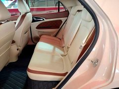 ORA Good Cat Morandi Edition 400km Standard Range Luxury Trim LFP - ფოტო 16