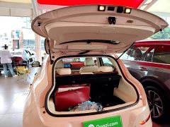 ORA Good Cat Morandi Edition 400km Standard Range Luxury Trim LFP - ფოტო 18
